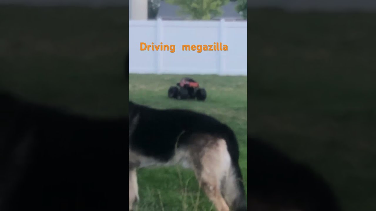 Megazilla Road Monster Showcase 2