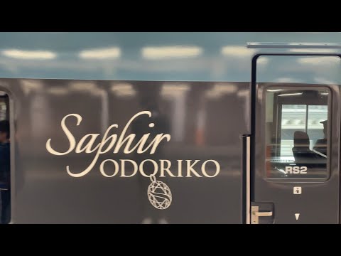 JR東日本 E261系RS2編成 特急サフィール踊り子5号伊豆急下田行きの発車 熱海駅2番線 2025/12/14 13:52