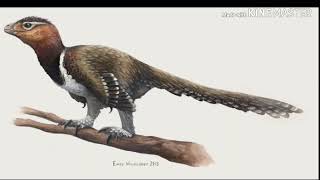 Balaur Bondoc Sounds