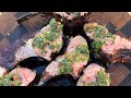 Smoked rack of lamb with chimichurri