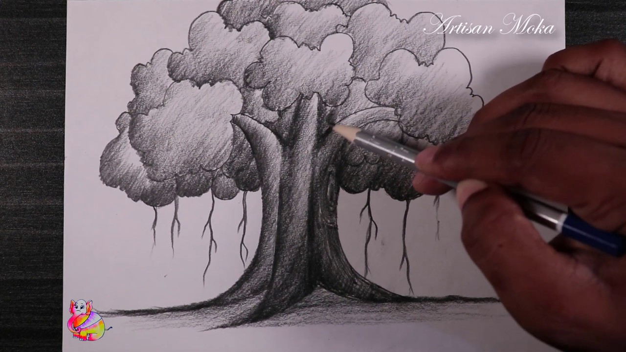 The banyan tree  Tree sketches Tree pencil sketch Tree drawing