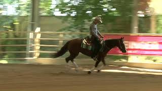 Nrha Austria Futurity 2018 Open Go Round Lv 1 To 4 Gasser Kevin-Just A Little Tangy