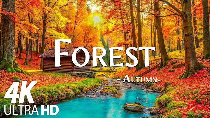 Enchanting Autumn Forests with Beautiful Piano Music🍁4K Autumn Ambience & Fall Foliage🍁4K Video UHD