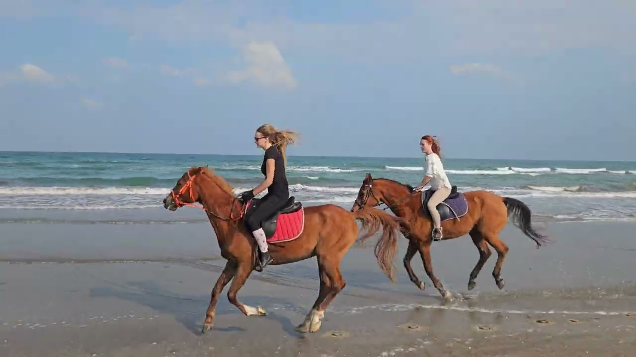 Horseback Riding Muscat | Horse Riding Oman 