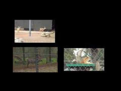 Lesson thumbnail