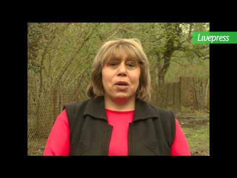 მგლების შემოსევა