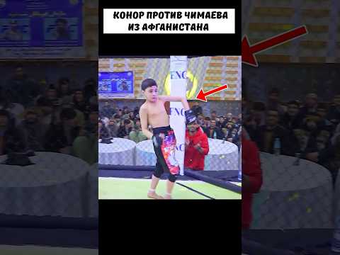 Афганский ЧИМАЕВ хотел доказать всем, что Конор не вывезет И … 😱