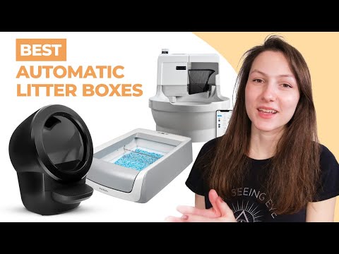 Video: Kanssa Litterboxes, Size Matters