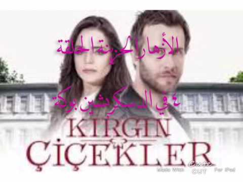 مسلسل الأزهار الحزينة Kırgın Çiçekler الحلقة 4 مترجمة للعربية