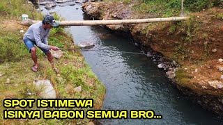 HEBOH.! Mancing di Sarang Nilem Babon Auto Bawa Pulang Ikan #LM09