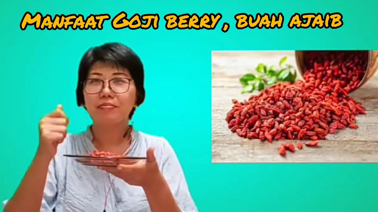 Manfaat dan khasiat Goji berry | Shirley 