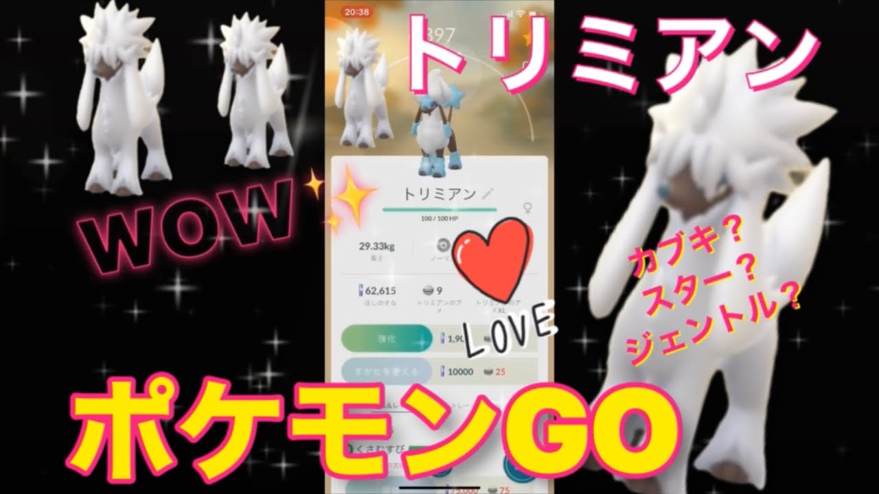 ポケモンgo トリミアン実際のカット方法 カブキ スターカット そして相棒へ Pokemongo Youtube