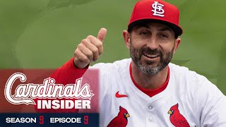 Descalso Back in STL | Cardinals Insider: S9, E9 | St. Louis Cardinals