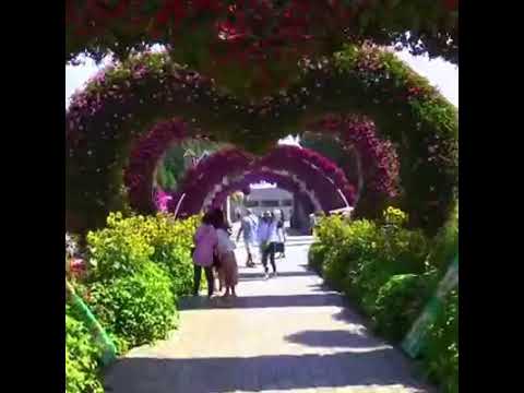 Dubai Miracle Garden