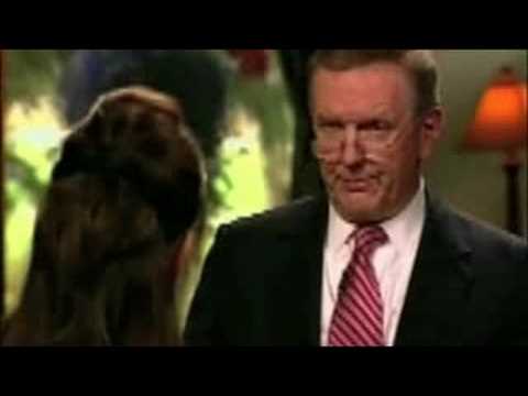 Charlie Gibson Interviews Sarah Palin : Miss Teen ...