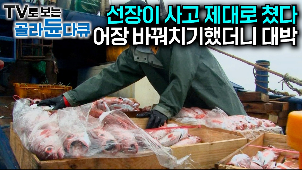 백화점급 생선 폭탄에 정신없다. 선장이 급하게 뱃머리 돌렸을 뿐인데｜기름값도 못 건질 판 한 번에 만회한 가자미 잡이 배｜비싸게 팔린다는 고급 어종 뽈돔｜극한직업｜#골라듄다큐
