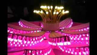 Philips Cfl Lotus At Kolkata