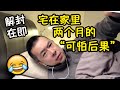澳洲生活 宅在家里两个月的“可怕后果”  越睡越晚 越吃越胖 越花越多 越来越闹 Danny 的澳洲笔记