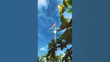 Republic Day Wishes Video | 26 January status #shorts #republicday #26january