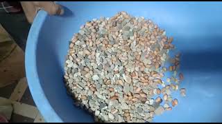 OUR 7FAN GRAVITY FOR PEANUT AT BIKANER RAJASTHAN