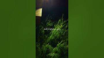 سورة التحريم | أية ١١ | القارئ إسلام صبحي #quran #3mohab3