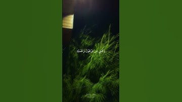 سورة التحريم | أية ١١ | القارئ إسلام صبحي #quran #3mohab3