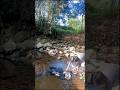 Fart 12. ini isinya apa kira-kira? | river cleanup | alam pedesaan#hidupdidesa #nature #rivercleanup