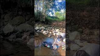 Fart 12. ini isinya apa kira-kira? | river cleanup | alam pedesaan#hidupdidesa #nature #rivercleanup