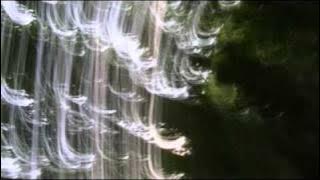 Culoe De Song - The Bright Forest