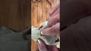 Deconstructing a Gucci Soho Disco Bag