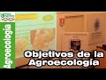 Los OBJETIVOS de la AGROECOLOGIA 👨‍🌾👩‍🌾 – María Dolores Raigón