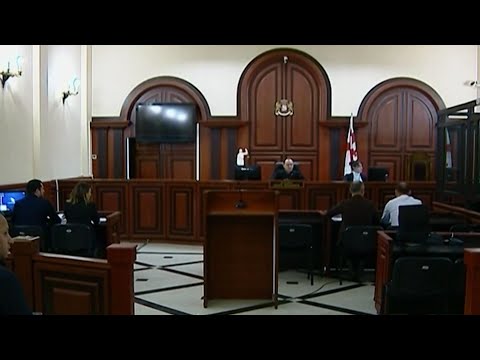 ხაბეიშვილს 2 ათასი ლარის გირაო შეეფარდა