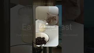 Wicend Mornnig Animason Short #viralvideo #trending #animatedvideo #youtubeshorts #animationvideo