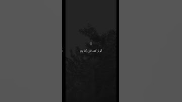 روائع الشيخ ماهر المعيقلي🌸 والفجر وليال عشر🌸 #قران_كريم #تلاوات #تلاوة_خاشعة #قرآن
