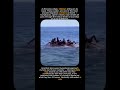 25 Tonnes And It Was Curious #wildlife #facts #animals #shorts #animalshorts #wow #ocean #omg