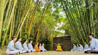 Pháp Đàm NIKAYA - Làm Sao Trị Tham Sân Si ?