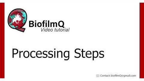 BiofilmQ Tutorials - 2. Image Processing Steps