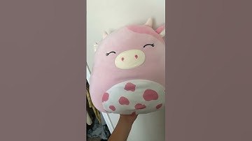 Squishmallow collection check #squishmallows #squishmallowcheck
