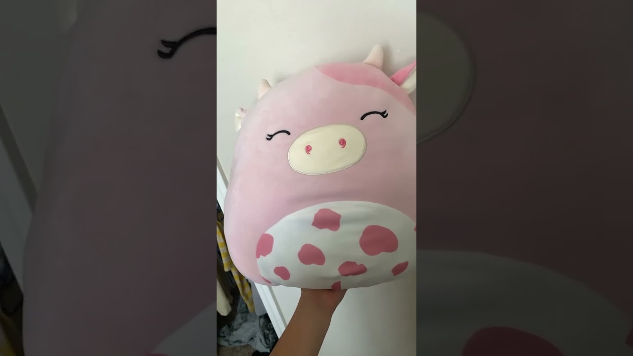 Squishmallow collection check 