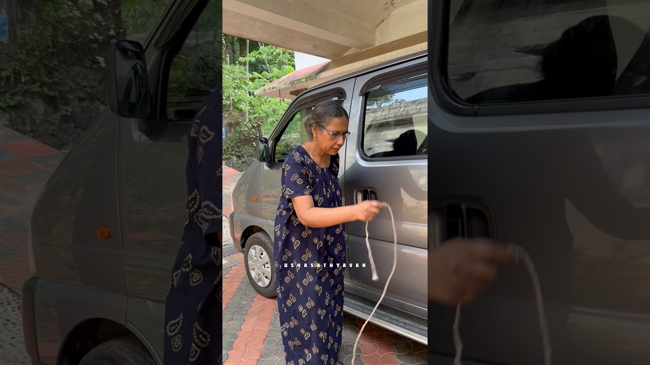 പാമ്പിനെ പിടിച്ച പൂച്ച 😁😅