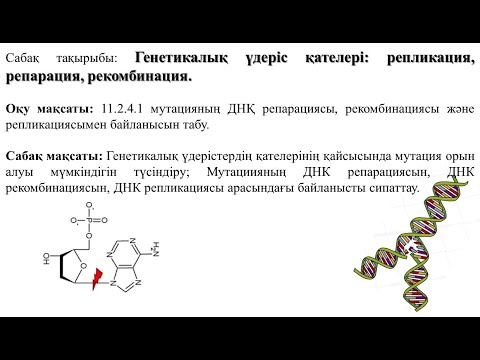 11 cынып. Биология. Генетикалық үдеріс қателері: репликация, репарация, рекомбинация.