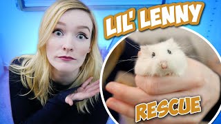 HAMSTER WAS KEPT ON PEE PADS! | Lil Lenny's Rescue Story | Munchie's Place