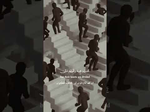 ايات من سورة الحشر بأسهم بينهم شديد تحسبهم جميعا وقلوبهم شتى قران 