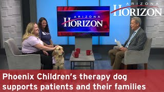 Phoenix Children’s therapy dog supports patients and their families