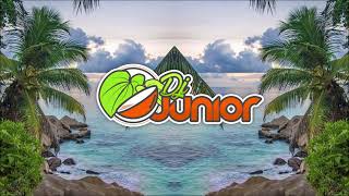 DJ Junior - Velavela (Remix) Paradise Rootz