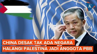China Serukan Jalan Tanpa Hambatan bagi Keanggotaan Palestina di PBB