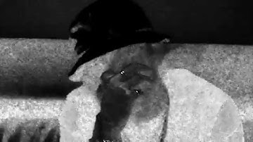 Stash - Human Transmutation (Official Video)