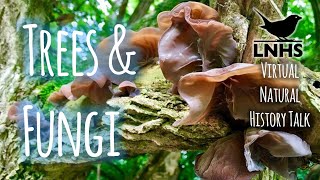 Trees and Fungi