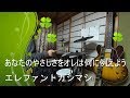 【TD-17KV】ドラム1万時間までの道のり ドラム歴11ヵ月【あなたのやさしさをオレは何に例えよう/エレファントカシマシ】