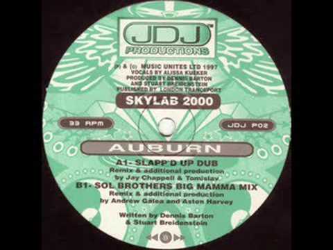 Skylab 2000 — Skylab 2000 - Auburn